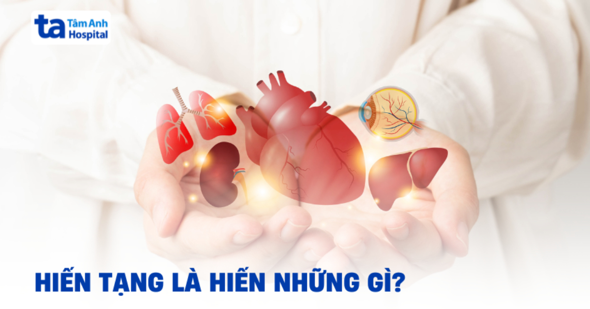 Hiến tạng là gì? Điều kiện, quy trình và những điều cần biết