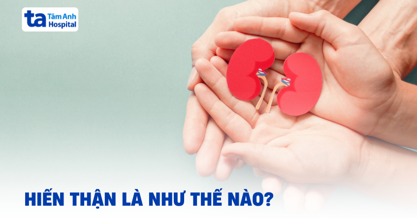 Hiến thận và thông tin quan trọng cần biết