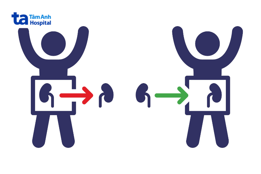 hình thức hiến thận
