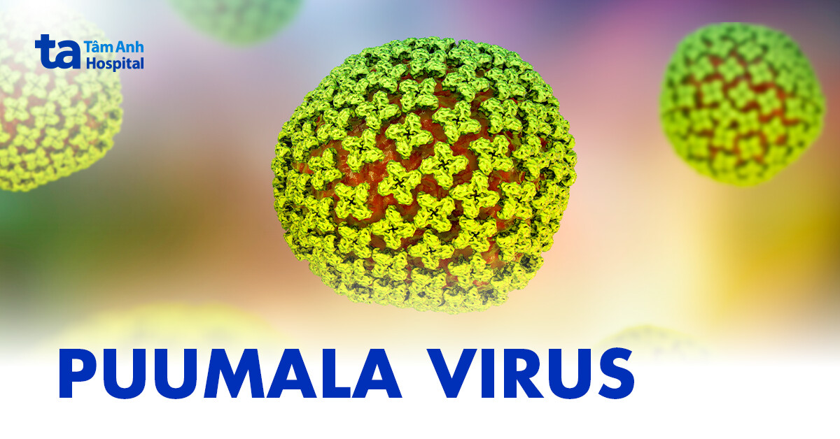 Puumala virus gây bệnh gì?