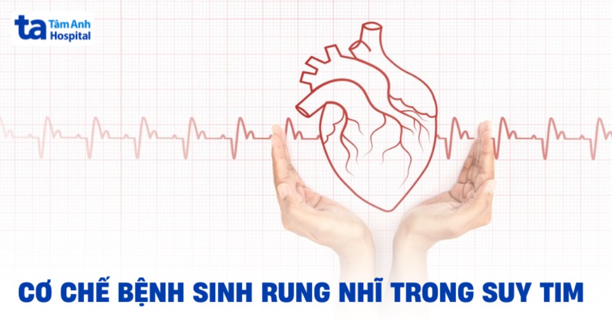 Rung nhĩ trong suy tim cần xử trí theo hướng nào cho an toàn?