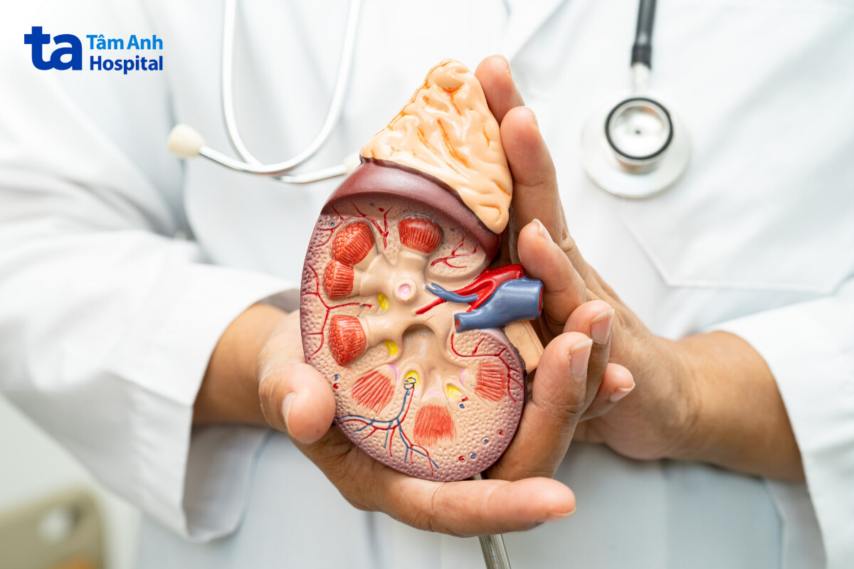 siêu âm sau ghép thận đánh giá những gì