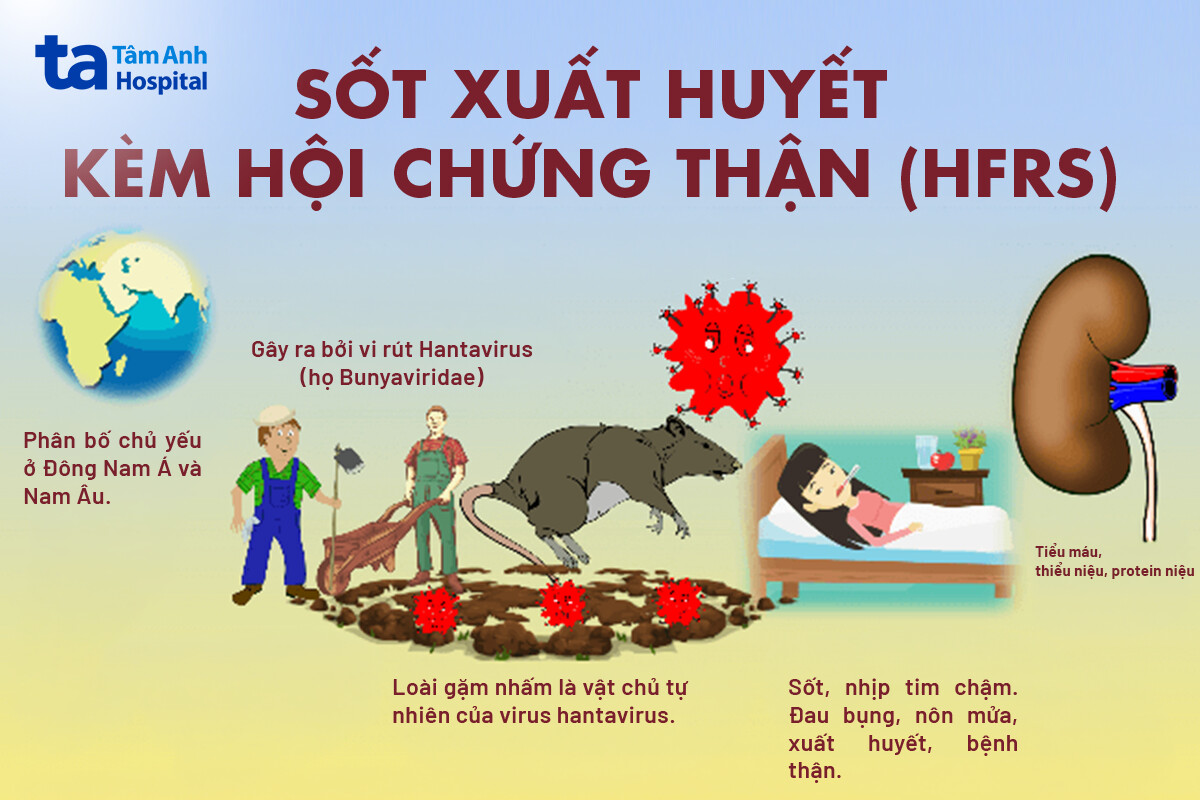 vì sao hantavirus gây ra hội chứng hfrs