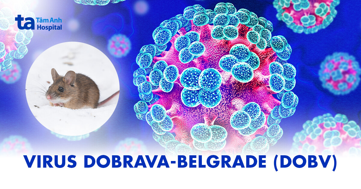 Virus Dobrava-Belgrade (DOBV): Thông tin chi tiết