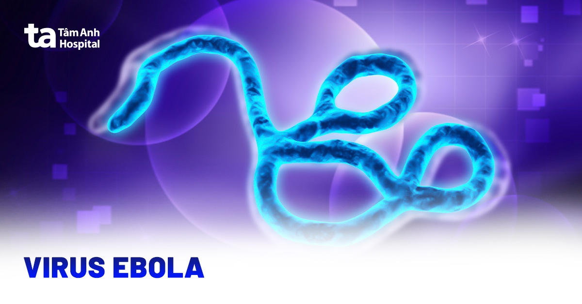 Virus Ebola gây bệnh gì? Mức độ nguy hiểm ra sao?