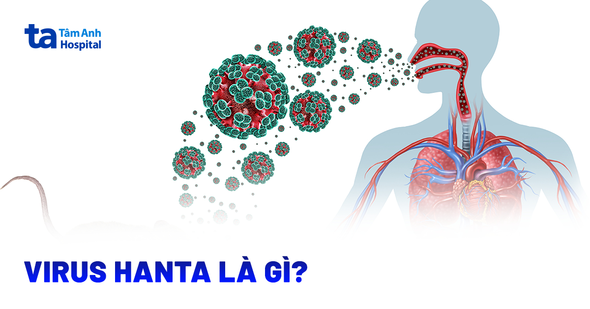 Virus Hanta: Nguồn lây, triệu chứng và mức độ nguy hiểm