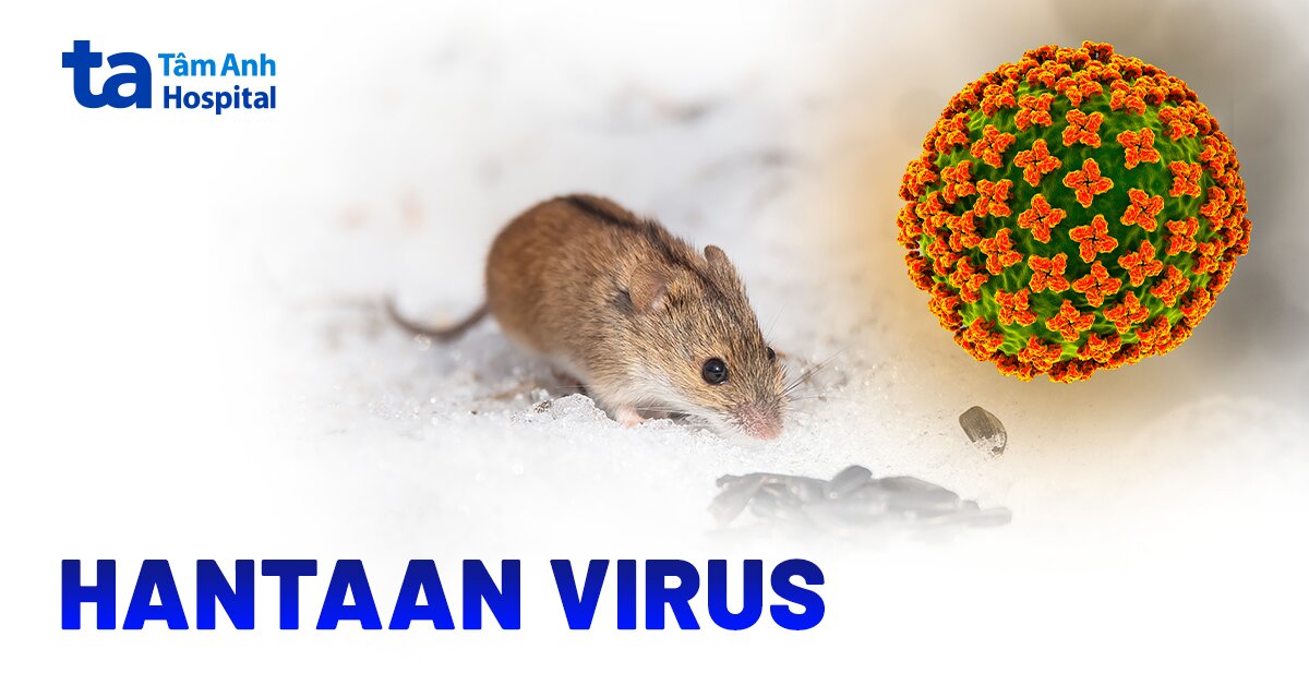 Virus Hantaan (HTNV)
