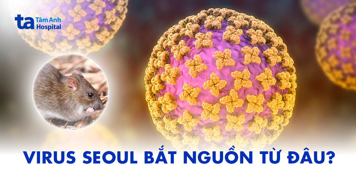 Virus Seoul là gì? Vì sao cần cảnh giác?
