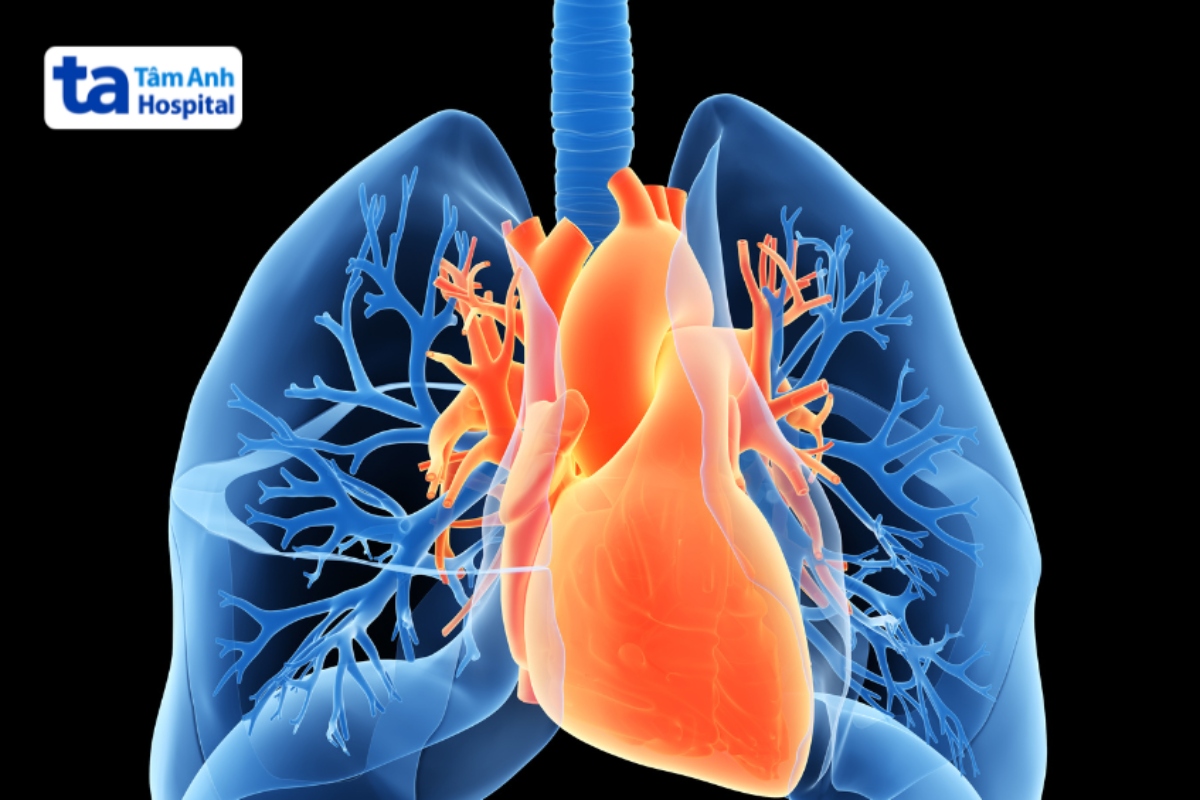 ảnh 3d phổi