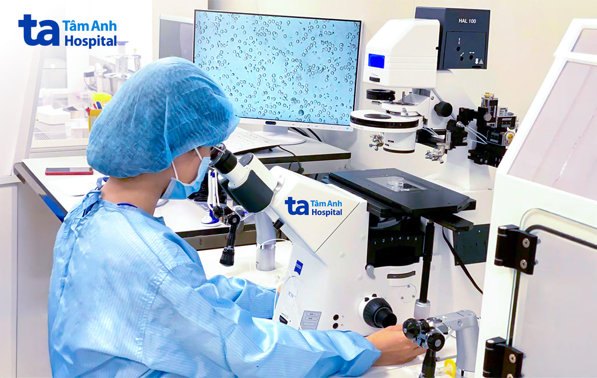chuyên viên phôi học lọc rửa tìm tinh trùng khỏe dưới kính hiển vi