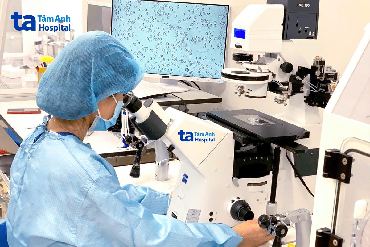 Chuyên viên phôi học tìm tinh trùng dưới kính hiển vi đảo ngược phóng đại 400 lần tại IVF Tâm Anh