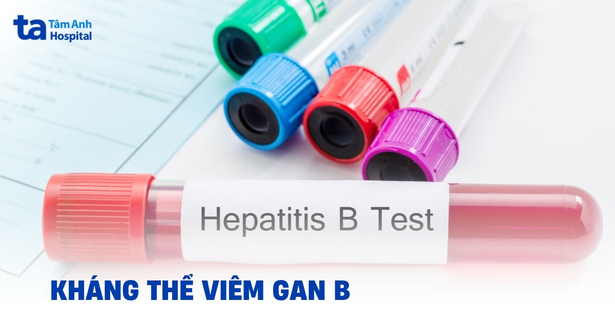 Kháng thể viêm gan B: Vai trò trong miễn dịch