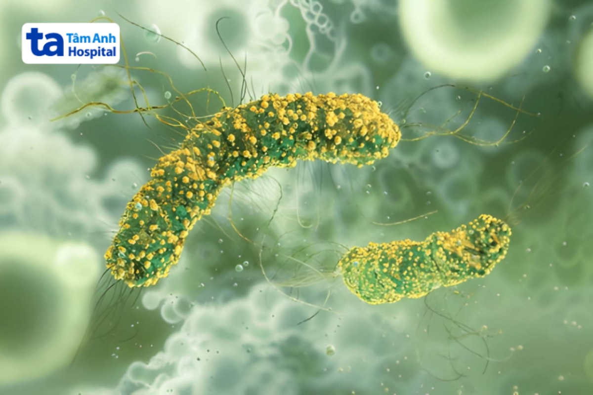 Listeria monocytogenes