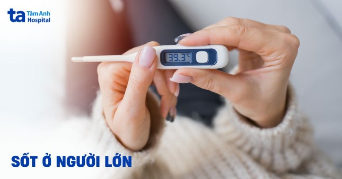 Tìm hiểu về sốt ở người lớn