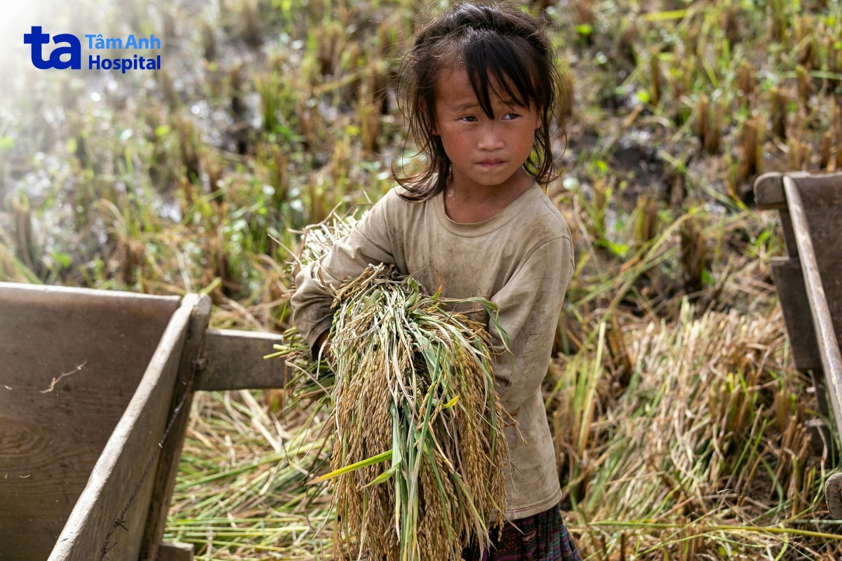 thực trạng lao động của trẻ em