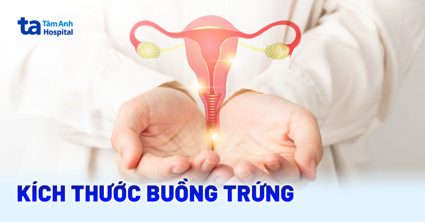 Kích thước buồng trứng thay đổi khi nào là bất thường?