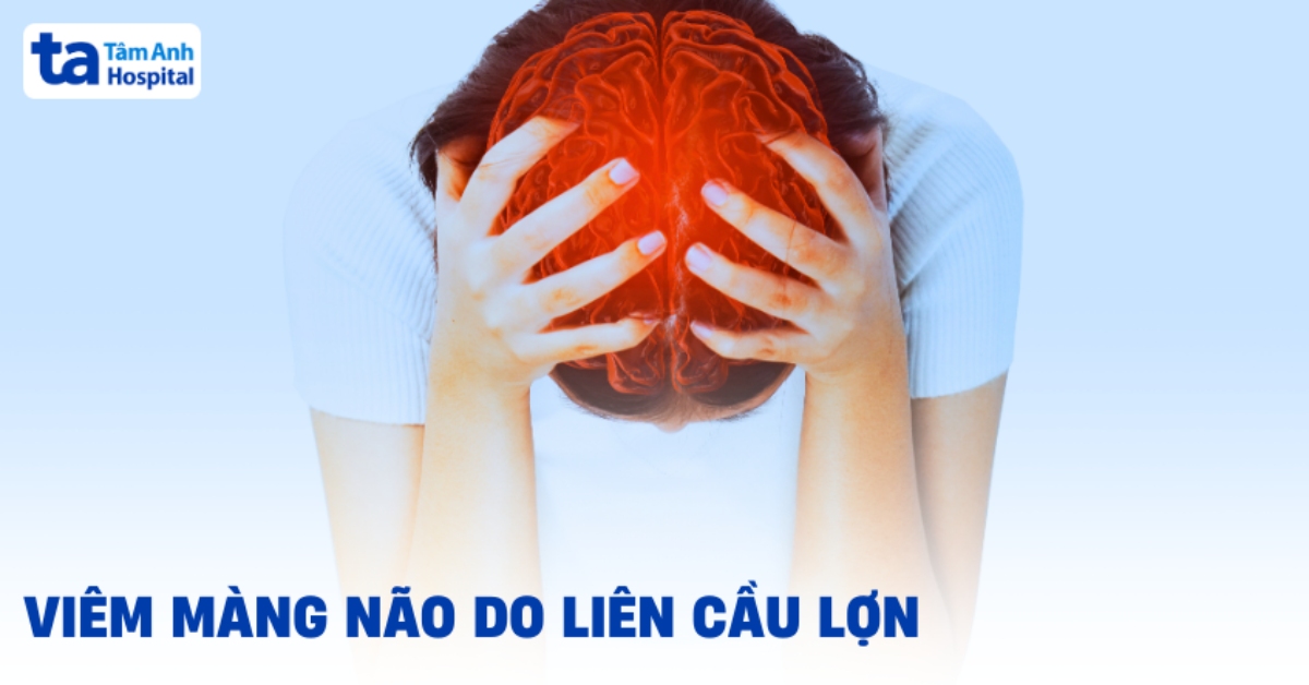Viêm màng não do liên cầu lợn và cách phòng tránh