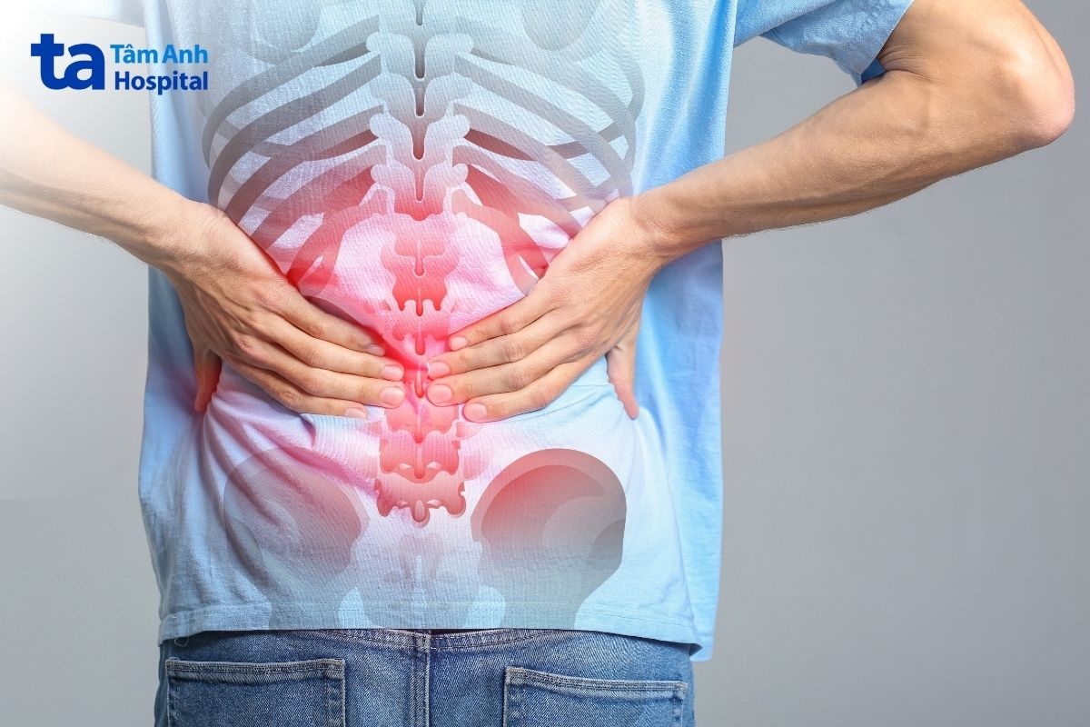Các đốt sống ở thắt lưng nâng đỡ phần lớn trọng lượng cơ thể