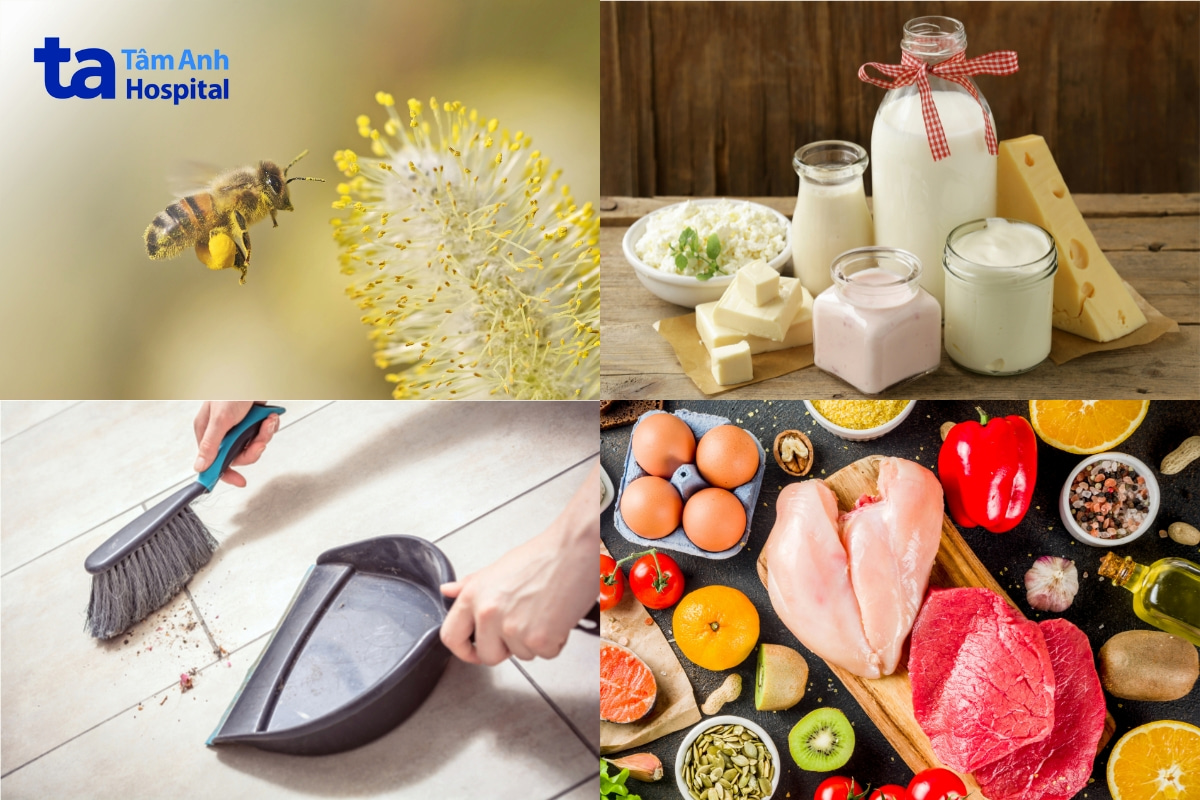 các tác nhân gây dị ứng 