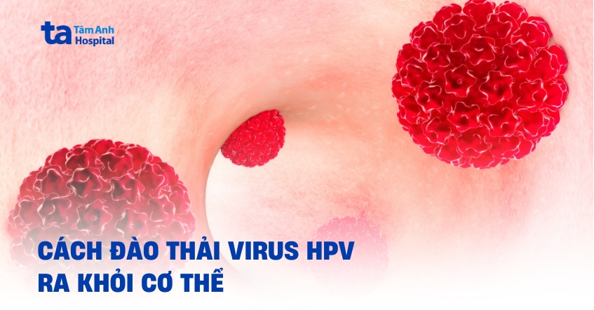 Cách đào thải virus HPV ra khỏi cơ thể và ngăn ngừa tái phát