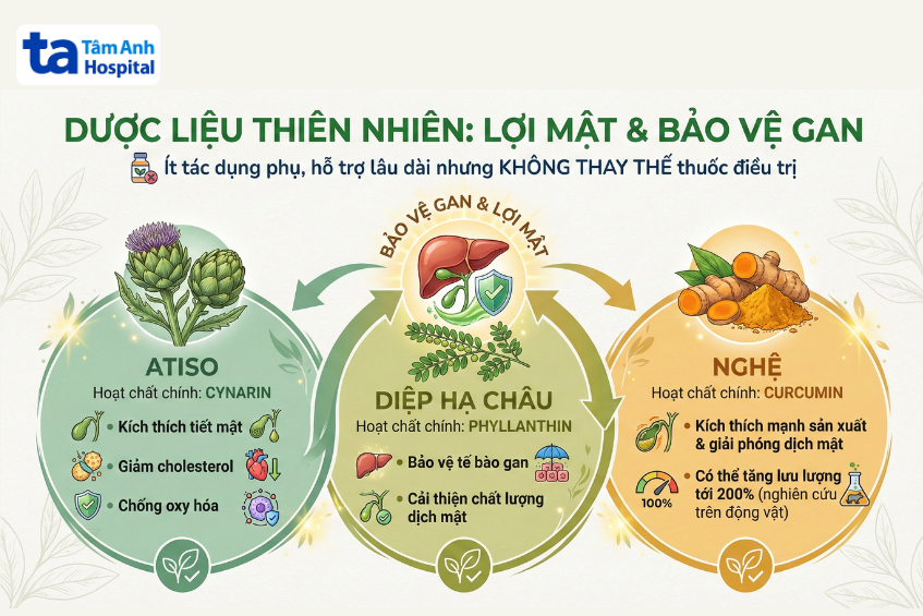 Atiso, diệp hạ châu và nghệ hỗ trợ lợi mật, bảo vệ gan.