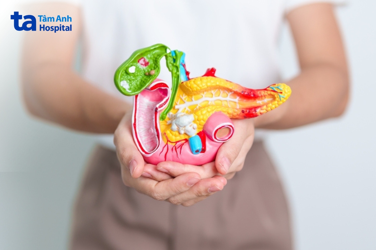 hormon insulin do tuyến tụy tiết ra là hormon duy nhất có tác dụng hạ đường huyết