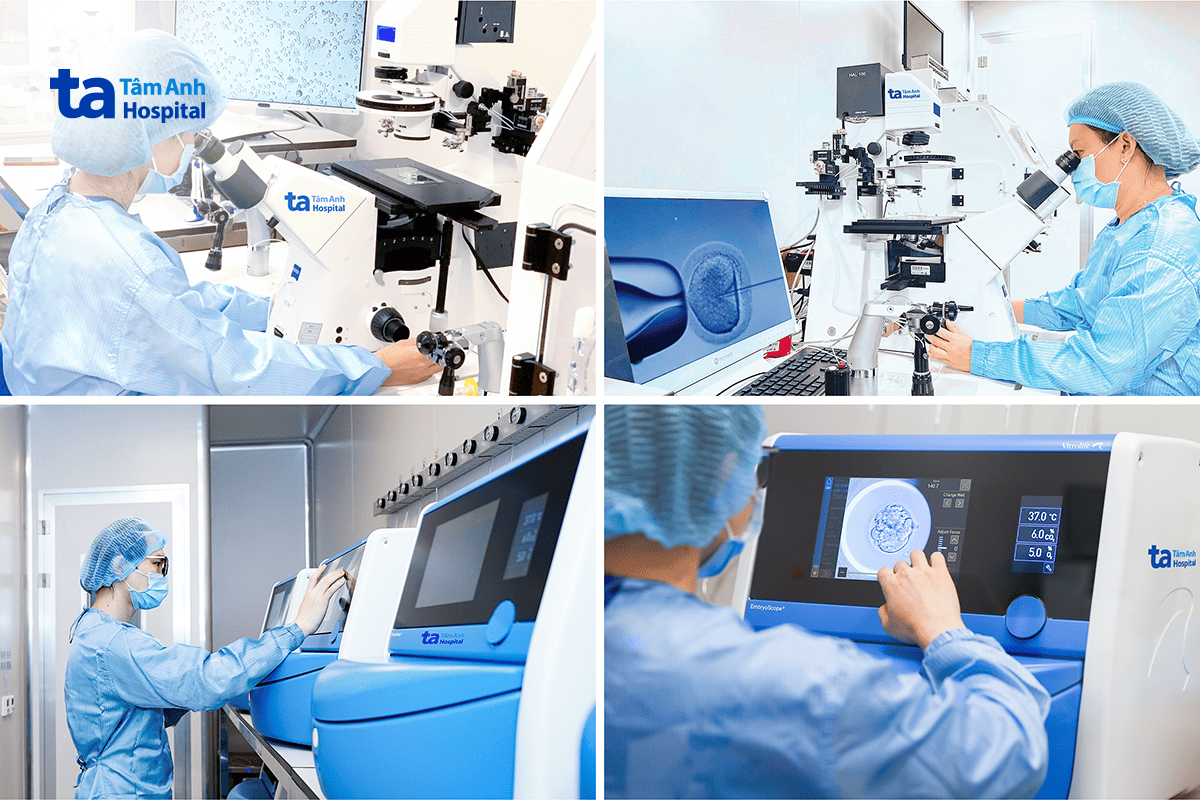 labo phôi học ivf tâm anh
