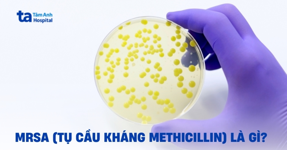 MRSA là gì? Hiểu đúng về tụ cầu vàng kháng Methicillin