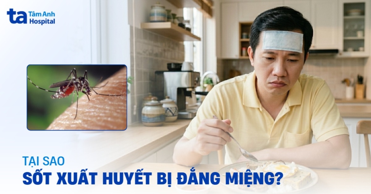 Lý Giải Việc Tại Sao Sốt Xuất Huyết Bị Đắng Miệng? Sốt Xuất Huyết Bị Đắng Miệng