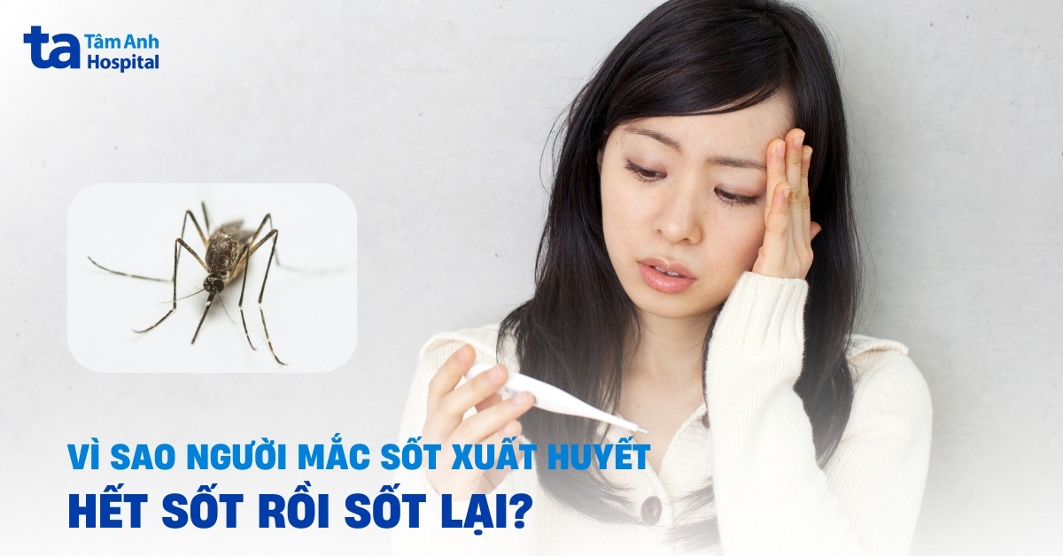 Vì sao người bệnh sốt xuất huyết hết sốt rồi sốt lại?