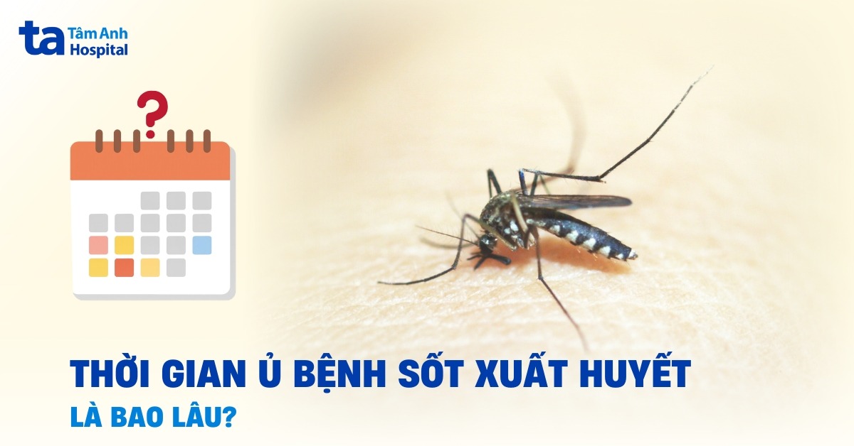 Thời Gian Ủ Bệnh Sốt Xuất Huyết