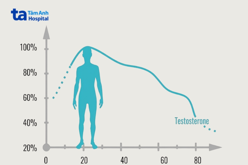 tình trạng mất cân bằng hormone, đặc biệt là giảm testosterone, gây ảnh hưởng đến thể chất, sinh lý và tinh thần