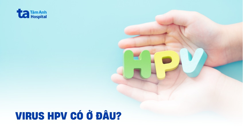 Virus HPV có ở đâu và tồn tại bao lâu ngoài cơ thể?
