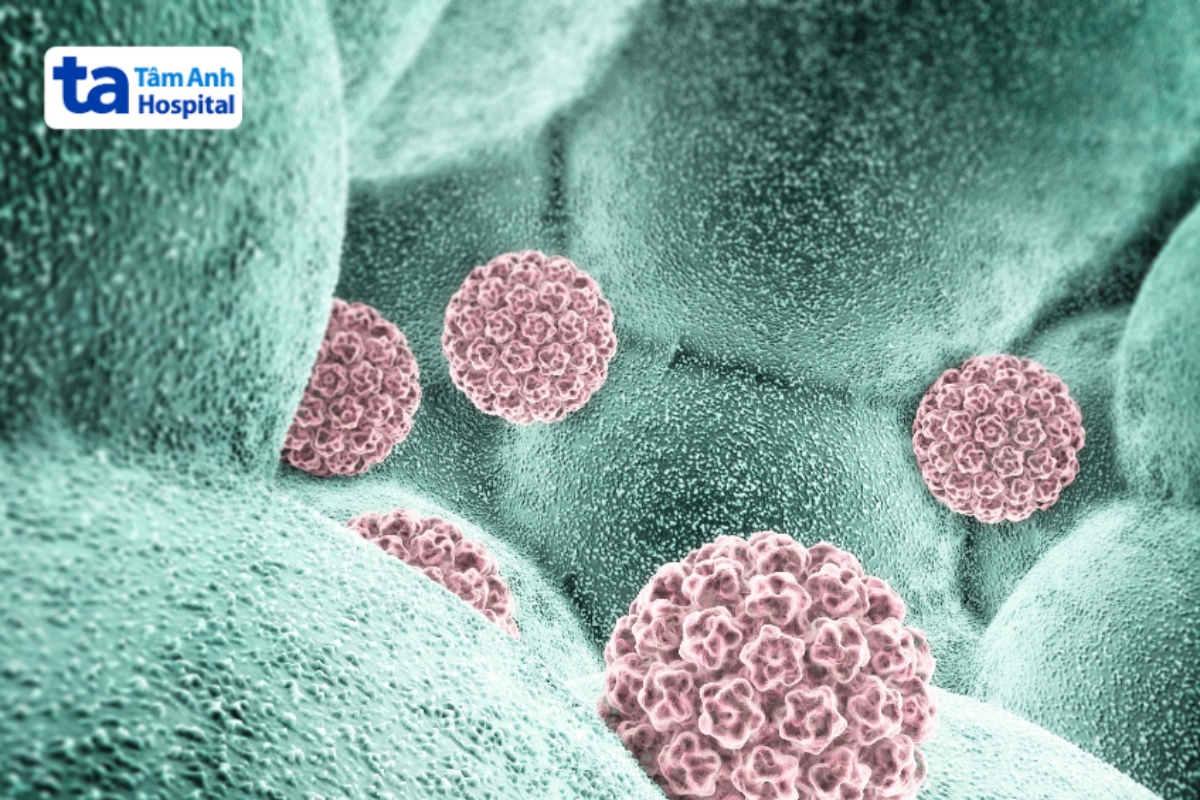 virus hpv