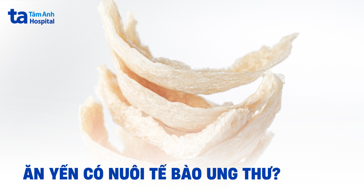Liệu ăn yến có nuôi tế bào ung thư không?
