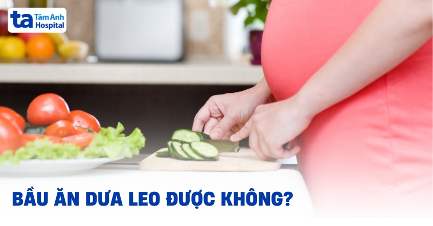 Bầu ăn dưa leo được không và ăn tới mức nào?