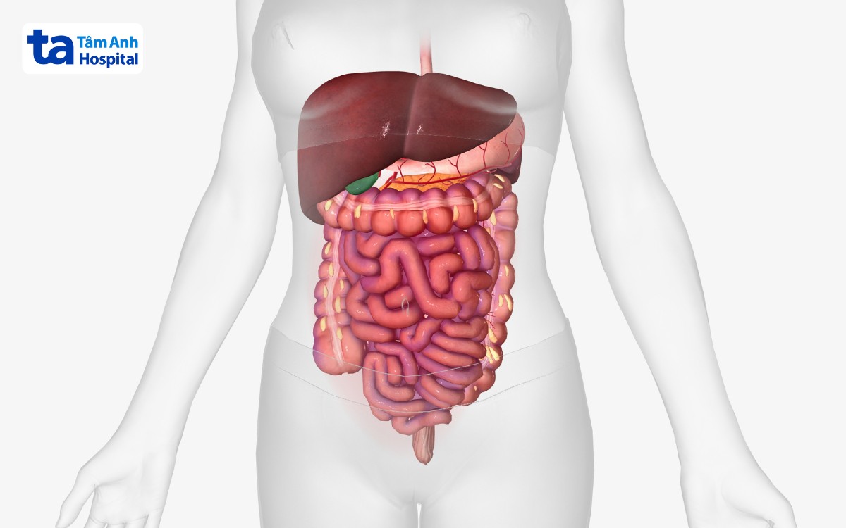 Biến Chứng Của Bệnh Crohn Gây Nguy Hiểm