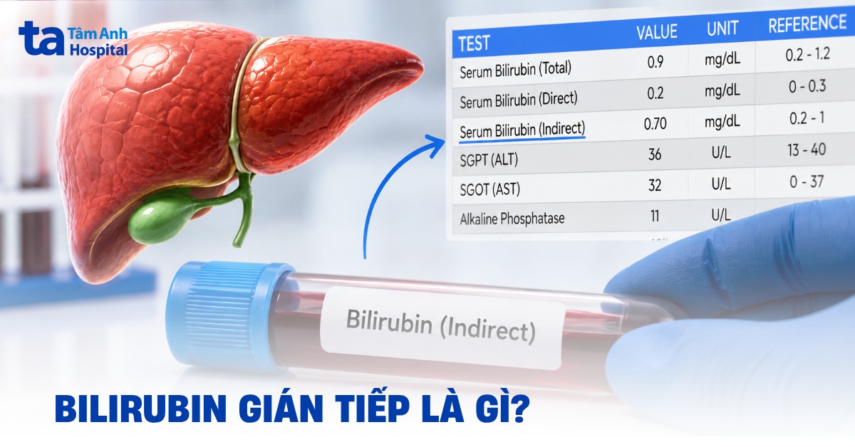 Bilirubin gián tiếp là gì? Ý nghĩa, cách tính và mức bình thường