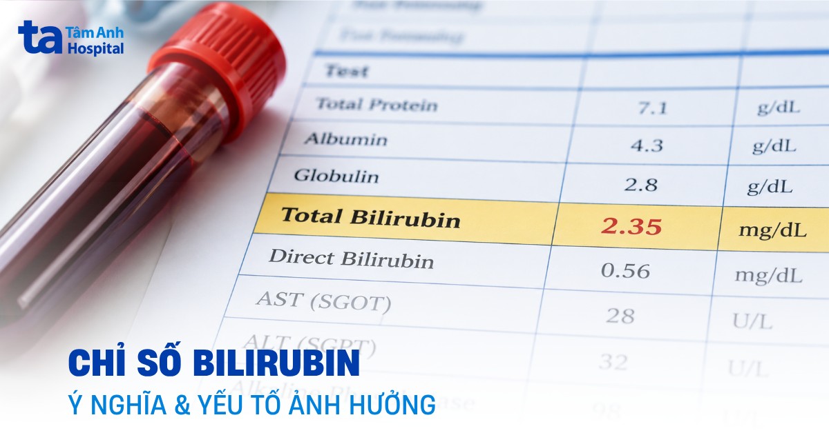 Chỉ số Bilirubin: Ý nghĩa, mức bình thường và yếu tố ảnh hưởng