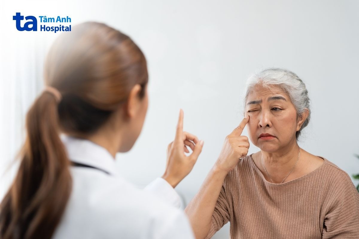 chức năng của vùng rìa giác mạc