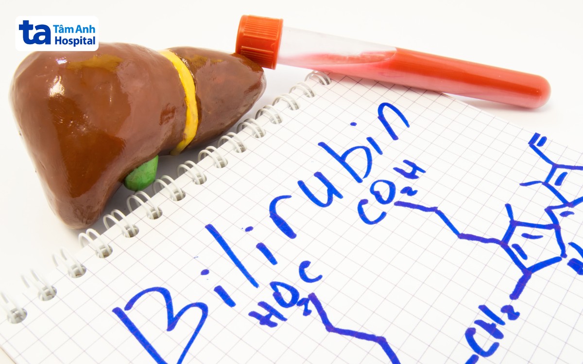 chuyển hóa bilirubin trong cơ thể