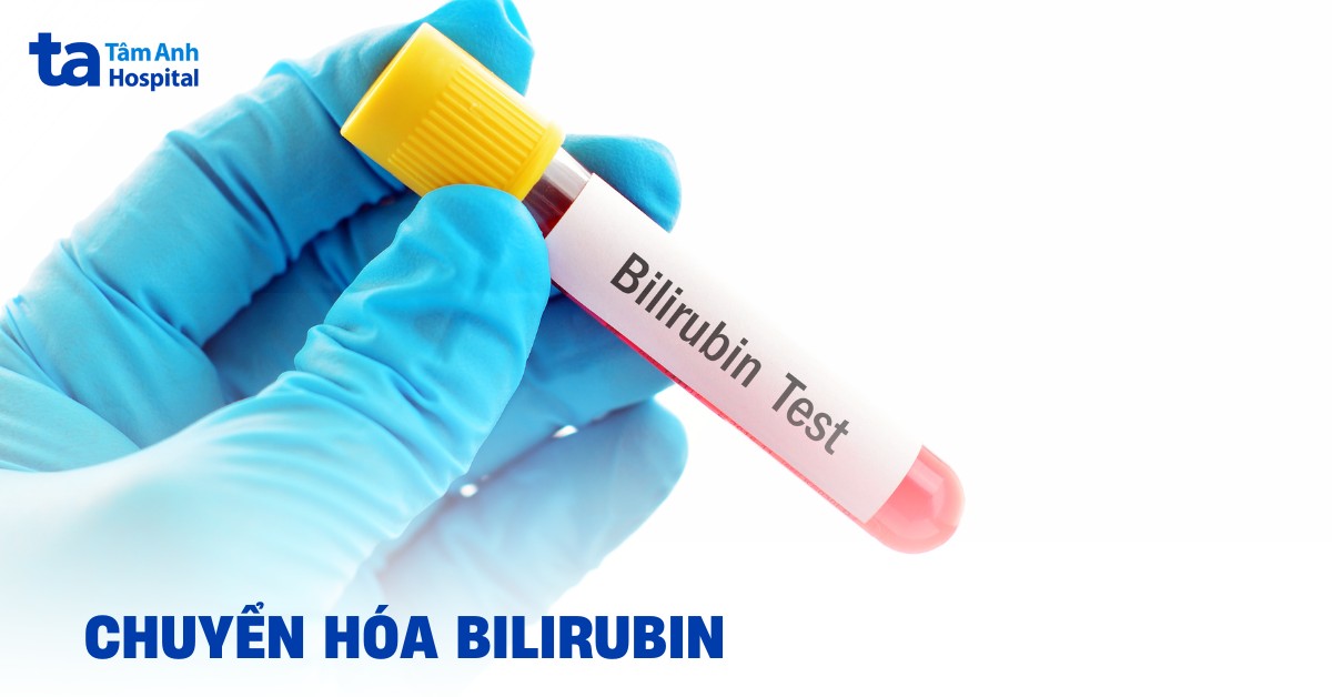 Quá trình chuyển hóa Bilirubin trong cơ thể và ý nghĩa lâm sàng