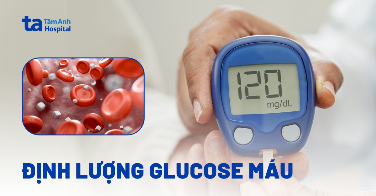 Định lượng glucose máu là gì? Chỉ số bao nhiêu là nguy hiểm?