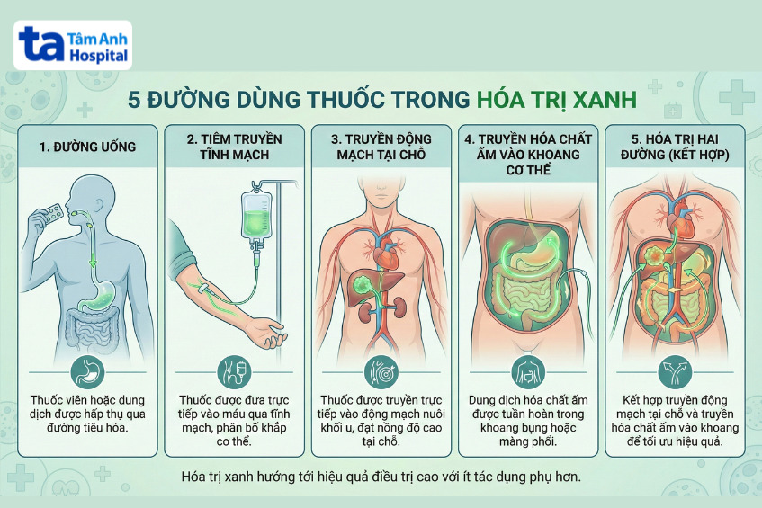 đường dùng thuốc trong hóa trị xanh