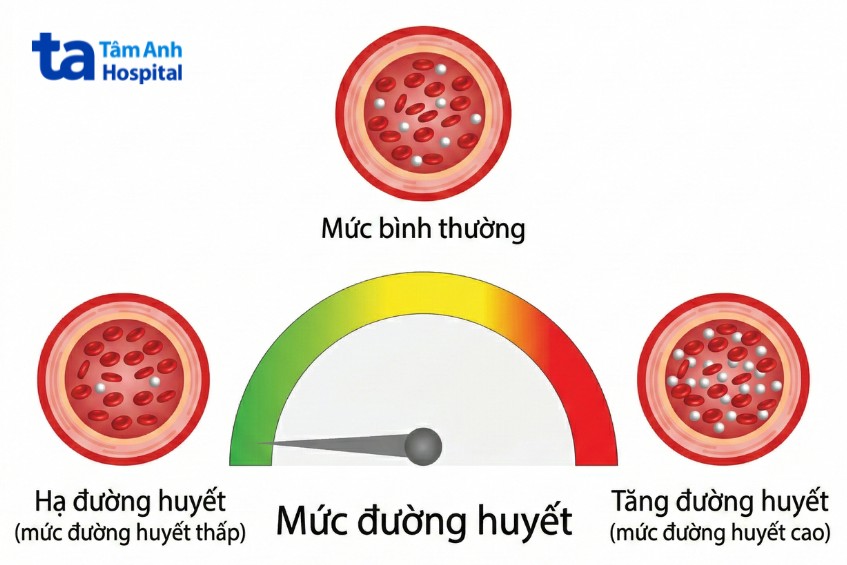 Đường huyết cao hay thấp đều phản ánh sự mất cân bằng trong cơ thể Đường huyết cao hay thấp đều phản ánh sự mất cân bằng trong cơ thể