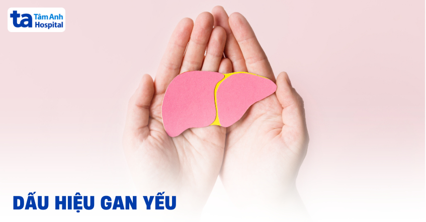 Gan yếu và những điều cần cảnh giác sớm