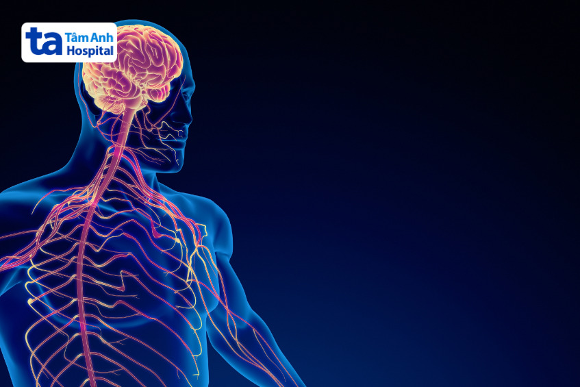 hệ thần kinh chịu ảnh hưởng của hội chứng cận u
