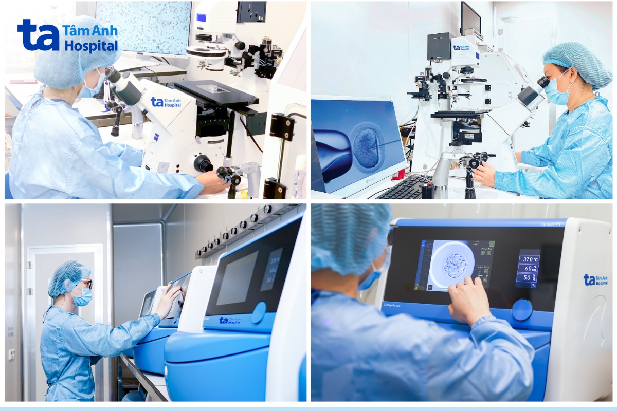 hệ thống lab phôi học đạt chuẩn iso 5