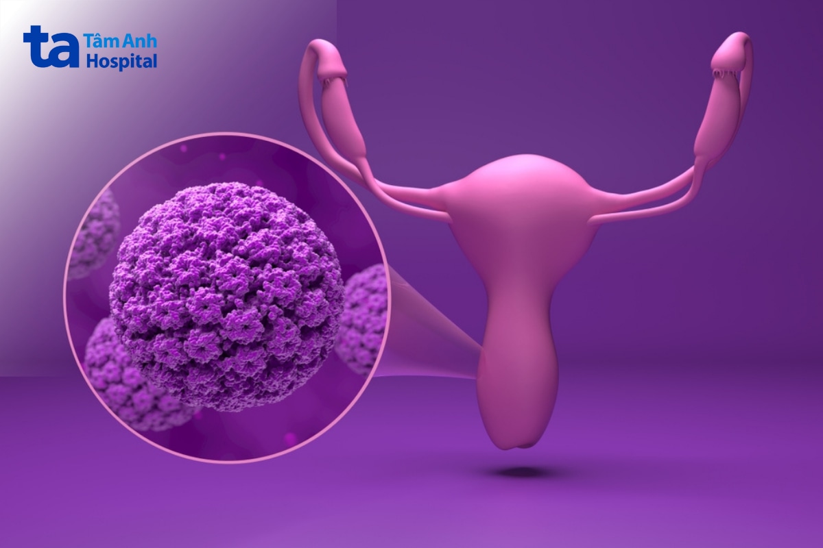 HPV type 42 là gì?
