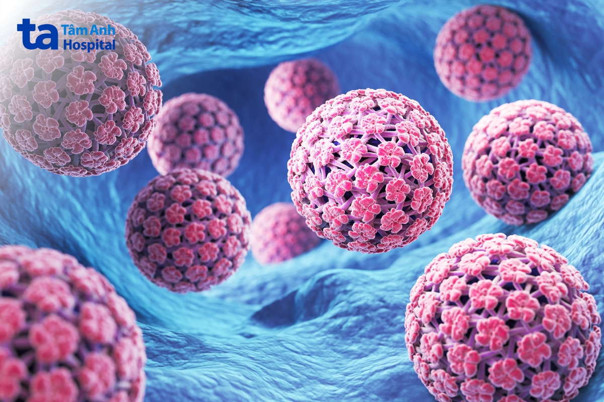 Mô phỏng virus HPV type 56 trên bề mặt tế bào